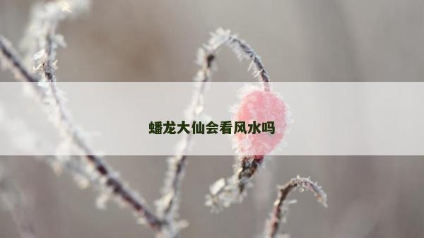蟠龍大仙會看風(fēng)水嗎