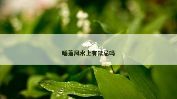 睡蓮風水上有禁忌嗎 睡蓮風水上有禁忌嗎