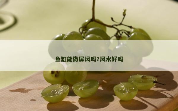 魚缸能做屏風嗎?風水好嗎
