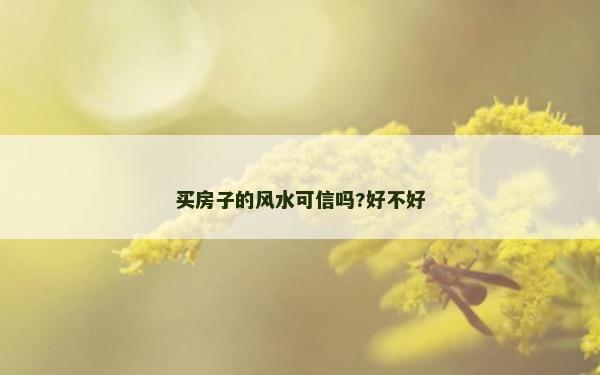 買房子的風水可信嗎?好不好 買房子的風水可信嗎?好不好