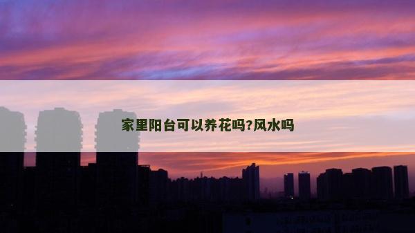 家里陽臺可以養(yǎng)花嗎?風水嗎