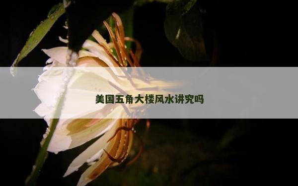 美國五角大樓風水講究嗎