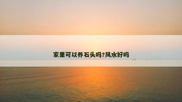 家里可以養石頭嗎?風水好嗎 家里可以養石頭嗎?風水好嗎