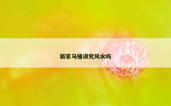 新家馬桶講究風(fēng)水嗎 新家馬桶講究風(fēng)水嗎