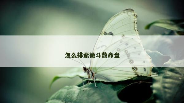 怎么排紫微斗數(shù)命盤(pán)