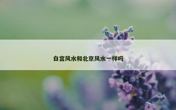 白宮風水和北京風水一樣嗎