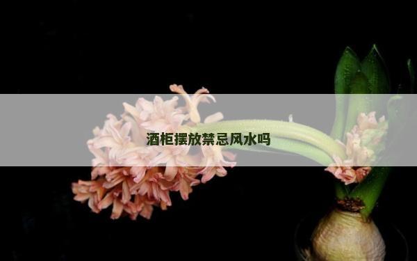 酒柜擺放禁忌風水嗎