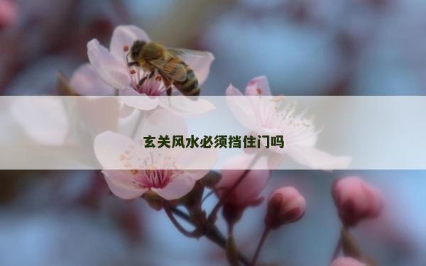 玄關(guān)風(fēng)水必須擋住門(mén)嗎