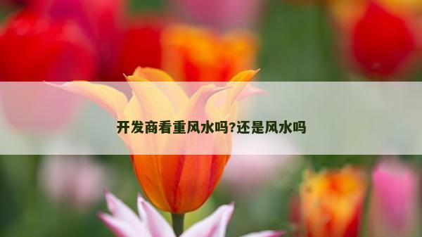 開發商看重風水嗎?還是風水嗎 開發商看重風水嗎?還是風水嗎