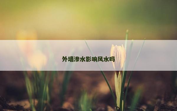 外墻滲水影響風(fēng)水嗎
