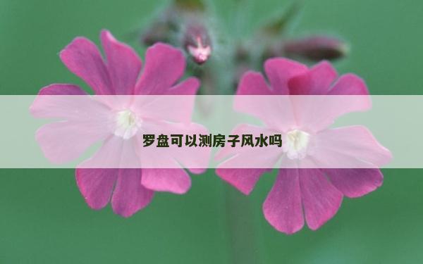 羅盤可以測房子風水嗎