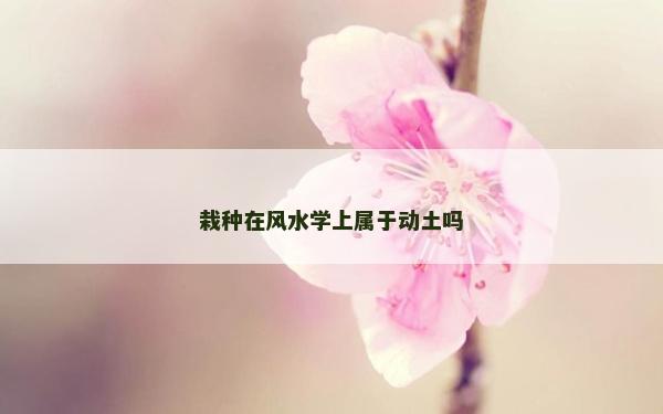 栽種在風(fēng)水學(xué)上屬于動(dòng)土嗎