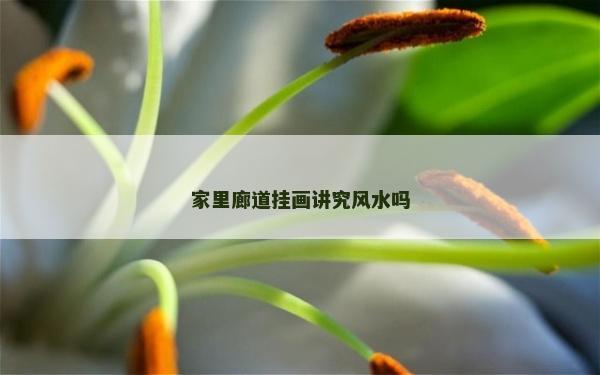 家里廊道掛畫講究風水嗎 家里廊道掛畫講究風水嗎
