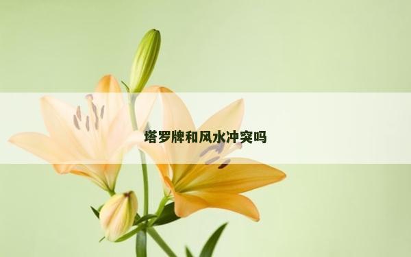 塔羅牌和風(fēng)水沖突嗎
