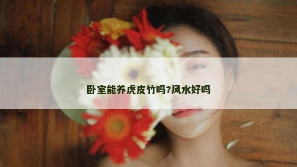 臥室能養虎皮竹嗎?風水好嗎