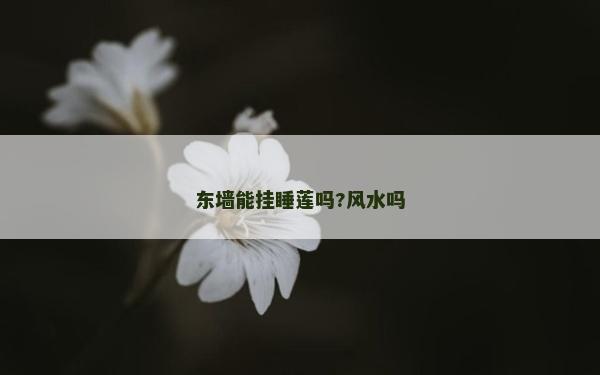 東墻能掛睡蓮嗎?風水嗎