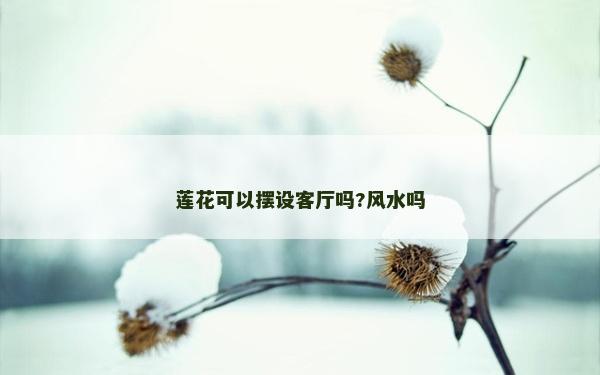 蓮花可以擺設客廳嗎?風水嗎