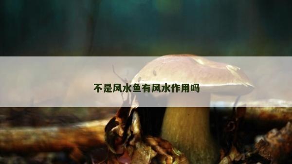 不是風水魚有風水作用嗎 不是風水魚有風水作用嗎