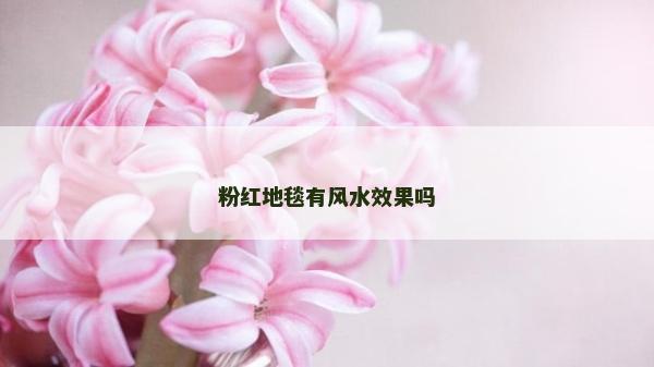 粉紅地毯有風水效果嗎 粉紅地毯有風水效果嗎