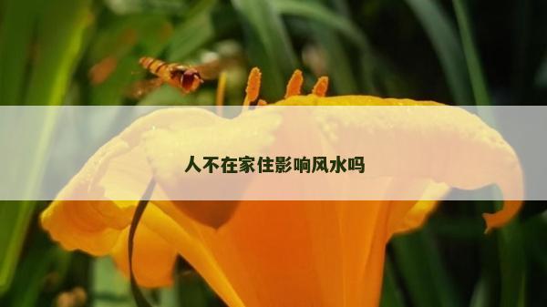 人不在家住影響風水嗎