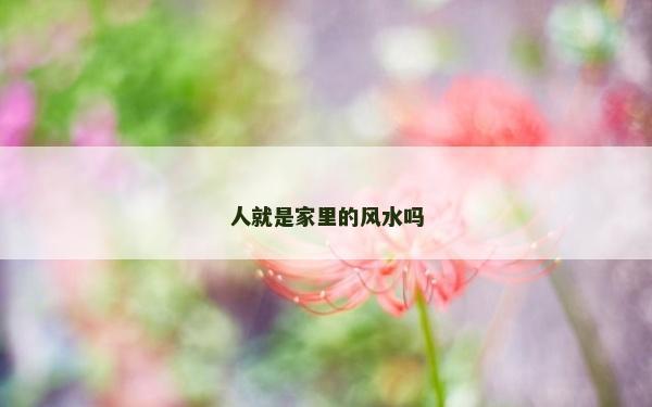 人就是家里的風水嗎