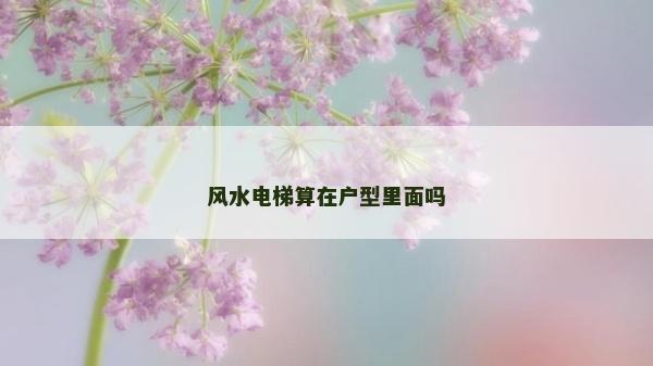 風水電梯算在戶型里面嗎
