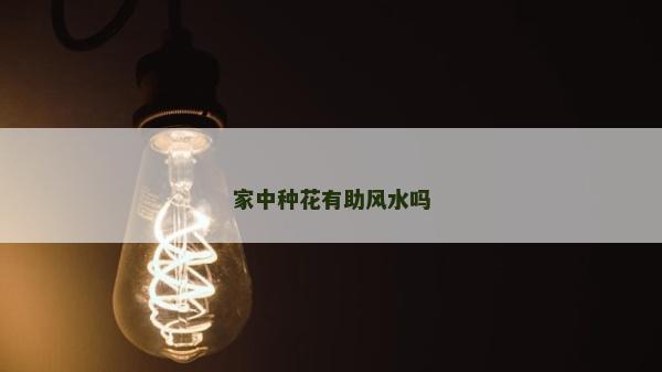 家中種花有助風水嗎