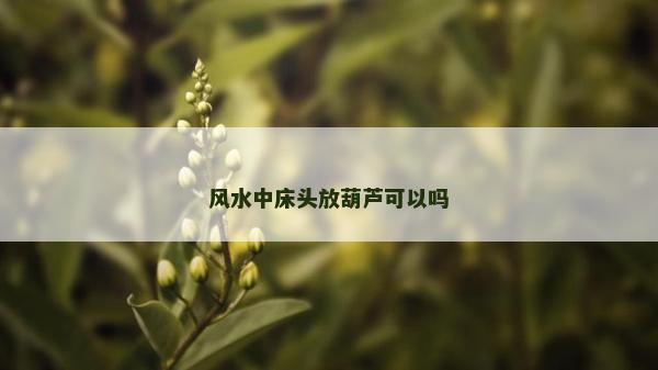 風水中床頭放葫蘆可以嗎