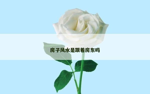 房子風水是跟著房東嗎 房子風水是跟著房東嗎