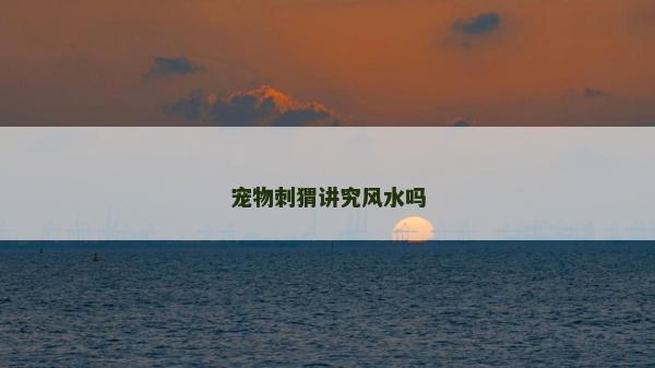 寵物刺猬講究風水嗎