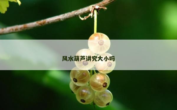 風水葫蘆講究大小嗎