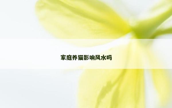 家庭養(yǎng)貓影響風水嗎