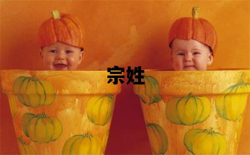 宗姓有涵養的男寶寶名字