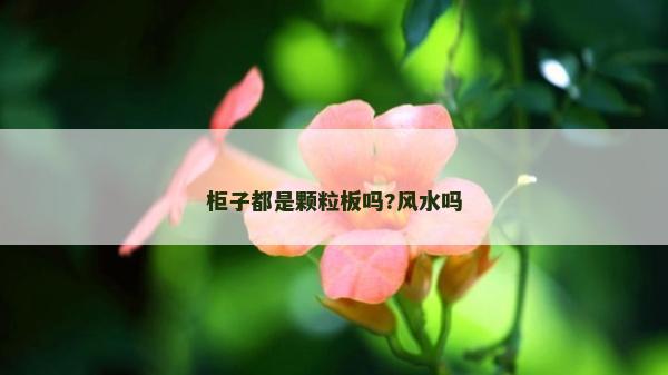 柜子都是顆粒板嗎?風水嗎