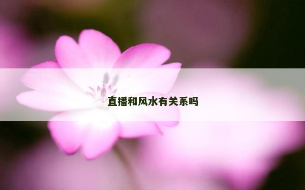 直播和風水有關系嗎