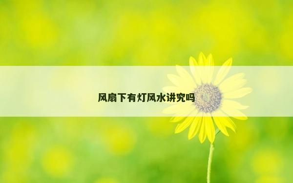 風(fēng)扇下有燈風(fēng)水講究嗎