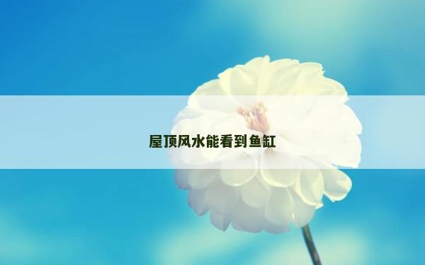 屋頂風水能看到魚缸