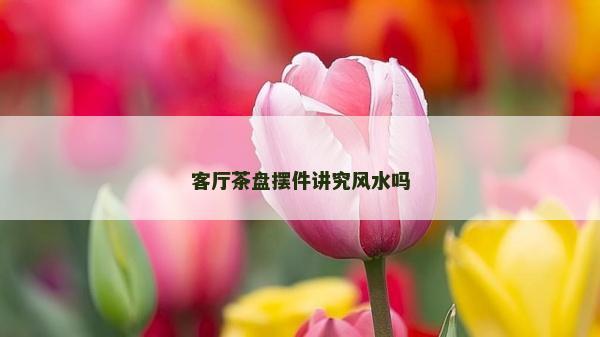 客廳茶盤擺件講究風水嗎