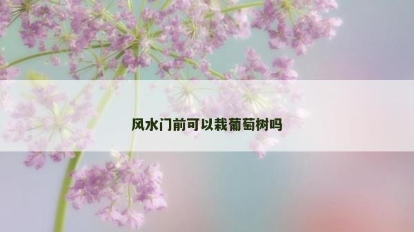 風水門前可以栽葡萄樹嗎