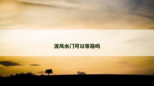 波風水門可以帶路嗎
