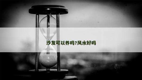 沙發可以養嗎?風水好嗎