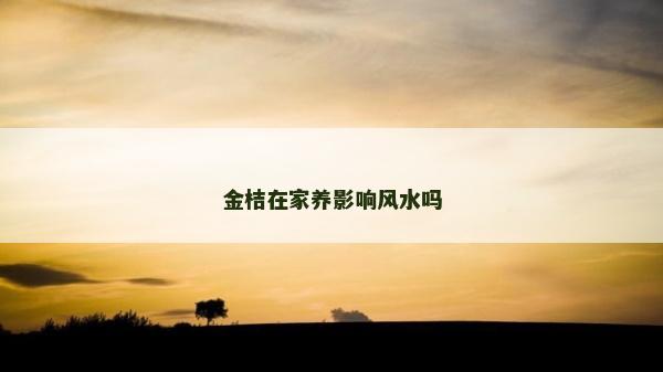 金桔在家養影響風水嗎 金桔在家養影響風水嗎