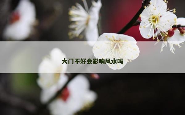 大門不好會影響風水嗎 大門不好會影響風水嗎