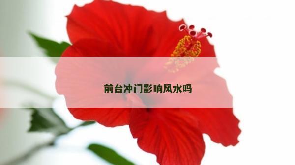 前臺沖門影響風水嗎