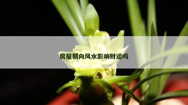房屋朝向風水影響財運嗎