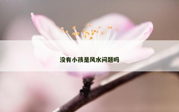 沒有小孩是風水問題嗎
