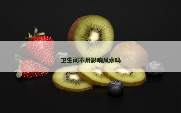 衛(wèi)生間不用影響風(fēng)水嗎