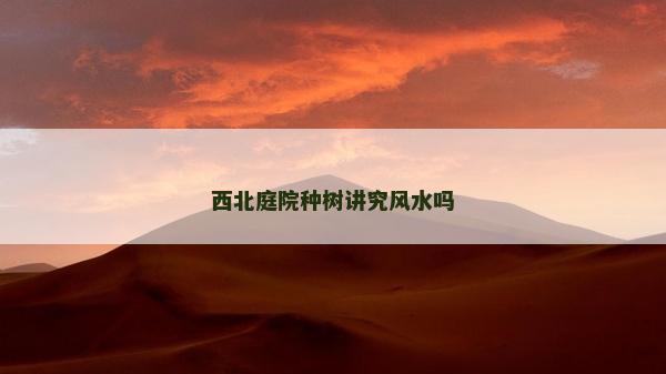 西北庭院種樹講究風(fēng)水嗎