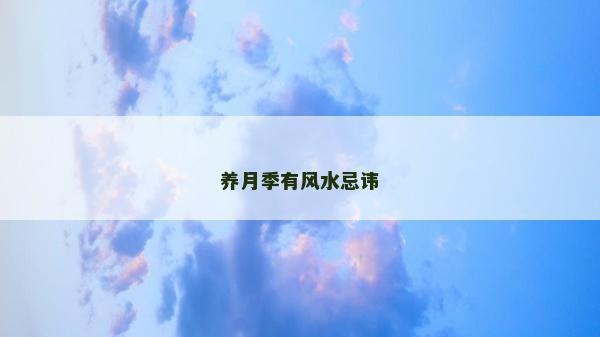 養月季有風水忌諱 養月季有風水忌諱