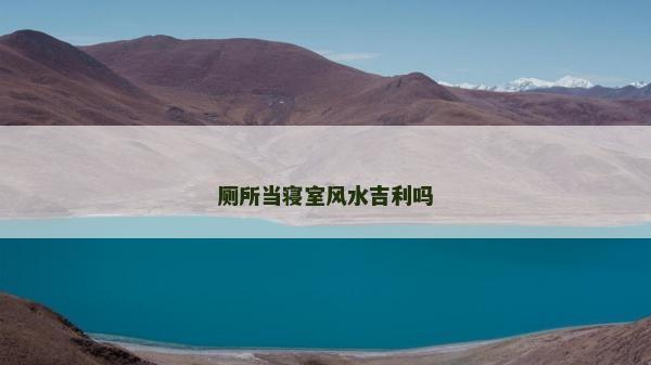 廁所當寢室風水吉利嗎 廁所當寢室風水吉利嗎